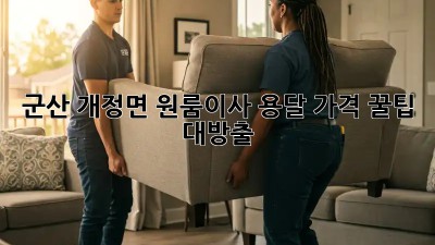 군산 개정면 원룸이사 용달 가격 꿀팁 대방출! ✨