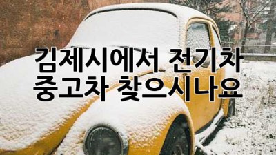 김제시에서 전기차 중고차 찾으시나요?