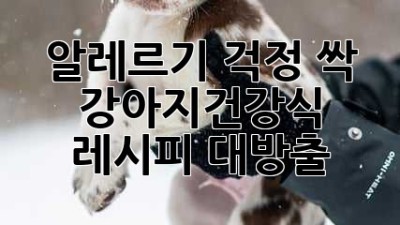 🐶 알레르기 걱정 싹! 강아지건강식 레시피 대방출 🥣