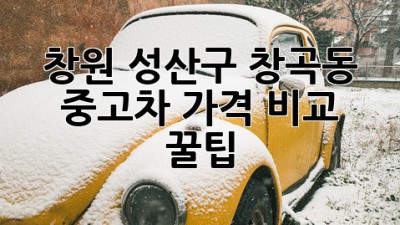 창원 성산구 창곡동 중고차 가격 비교 꿀팁! 🚗💨