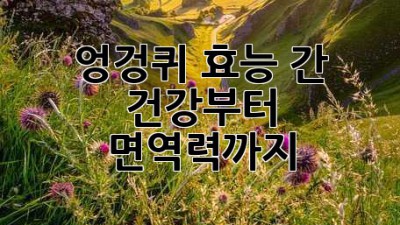 엉겅퀴 효능: 간 건강부터 면역력까지!